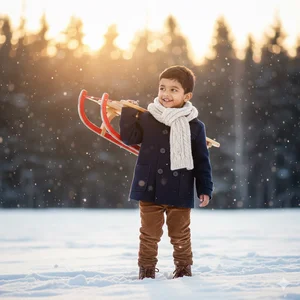 google gemini ai winter prompt