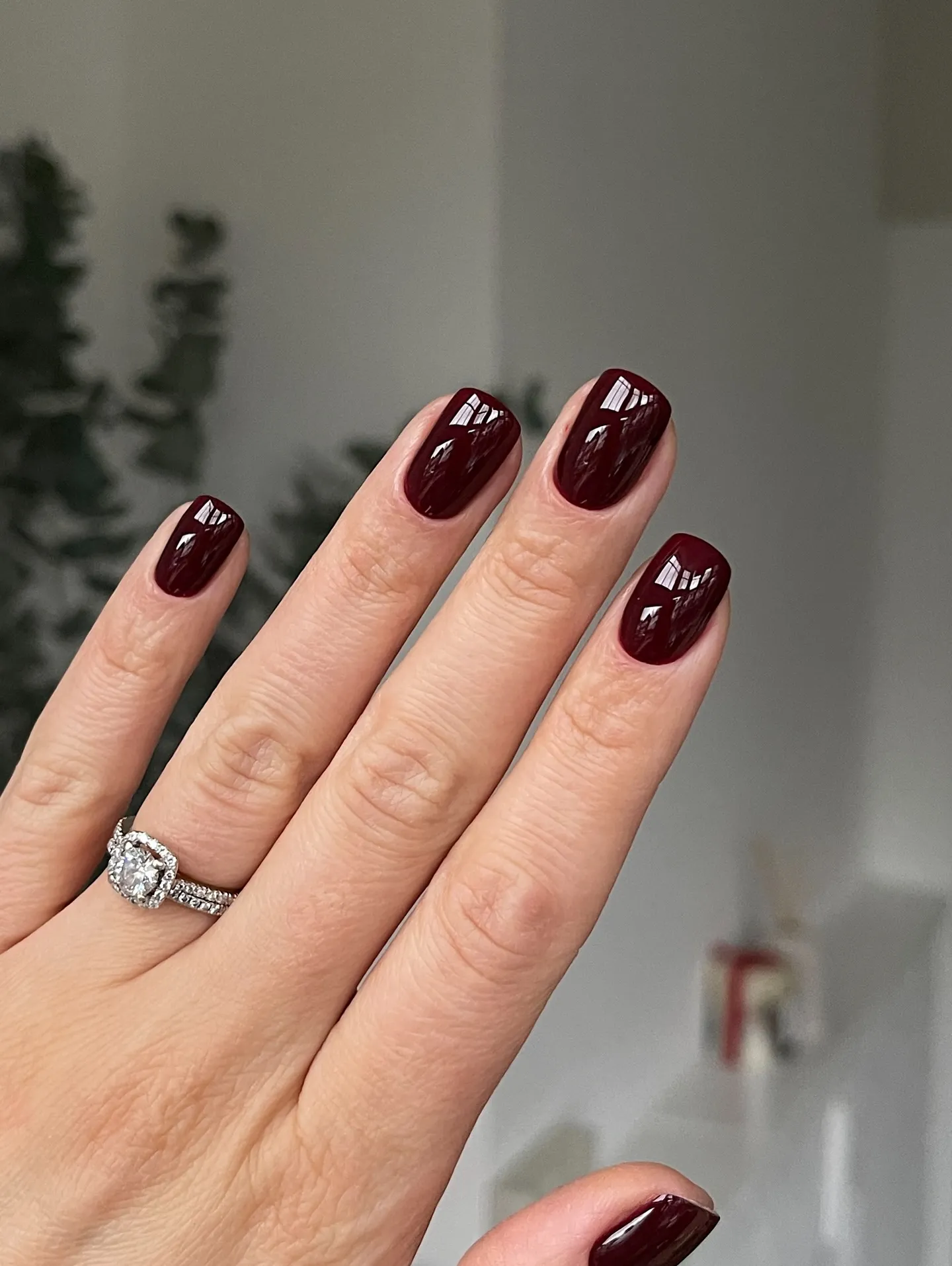 Deep Burgundy Shine